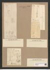 Synedra sp. (de-Toni-Nr.: Genus 66, Species 2596 ?) Zeichnungen Sammlung Grunow Nr. 5407 (NHMW-BOT-W0373837)